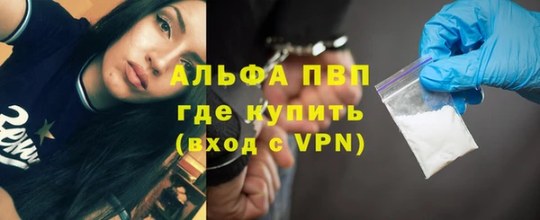 прущие грибы Покров