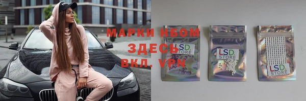 прущие грибы Покров