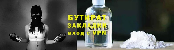 прущие грибы Покров