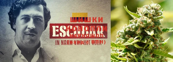 Альфа ПВП Абаза