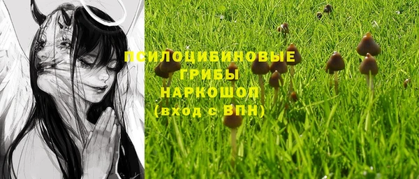 Альфа ПВП Абаза