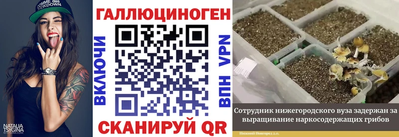 Псилоцибиновые грибы ЛСД  наркошоп  Нариманов 